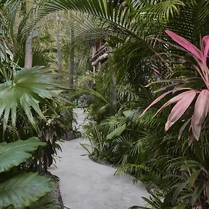 hotel-boutique-terranova.allrivieramayahotels.com/