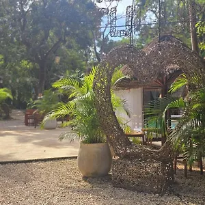  Pensión Kin Jungle Deluxe México